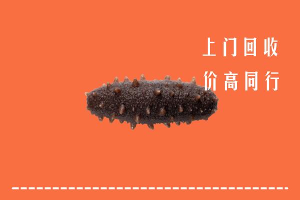 高价求购：都安县回收海参