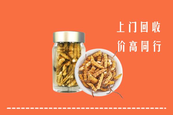 都安县回收冬虫夏草